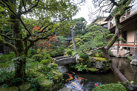 Photo: Japanese Garden