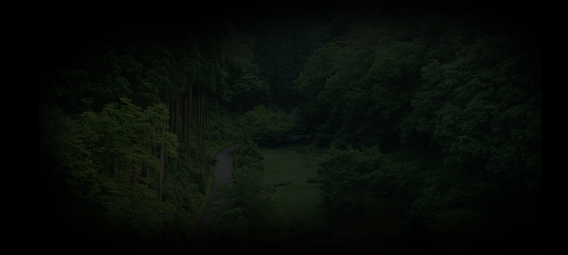 背景