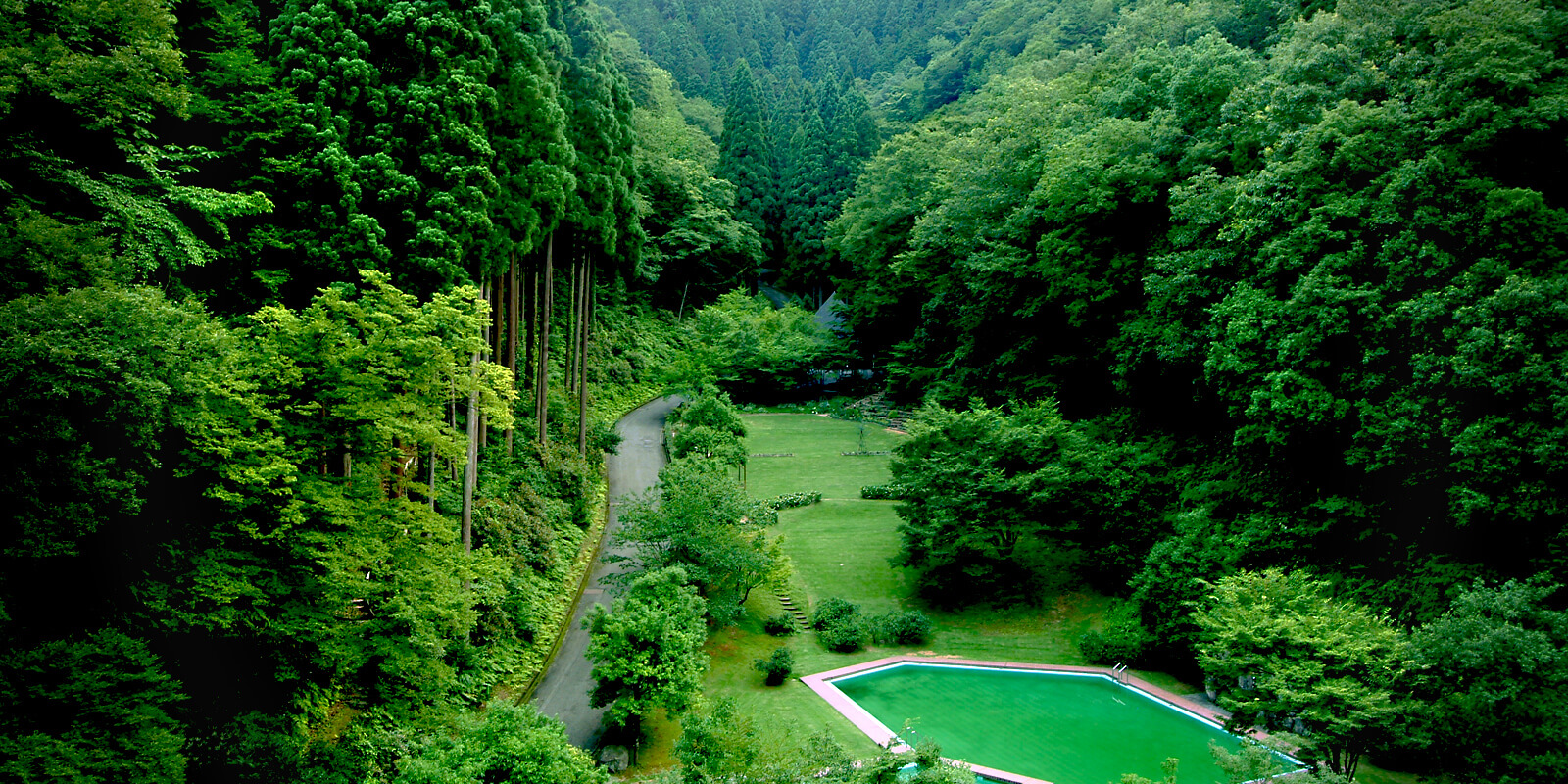 自然森林園